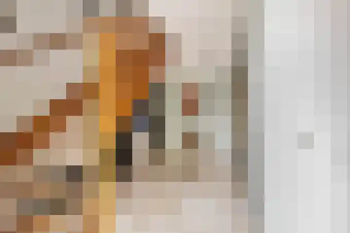 Loostraat 121 Huissen thumbnail 4