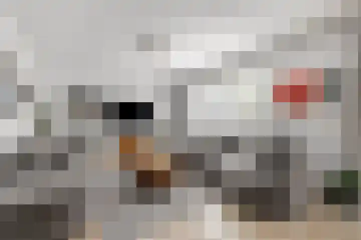 Loostraat 121 Huissen thumbnail 5