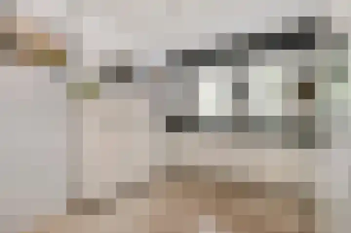 Loostraat 121 Huissen thumbnail 7