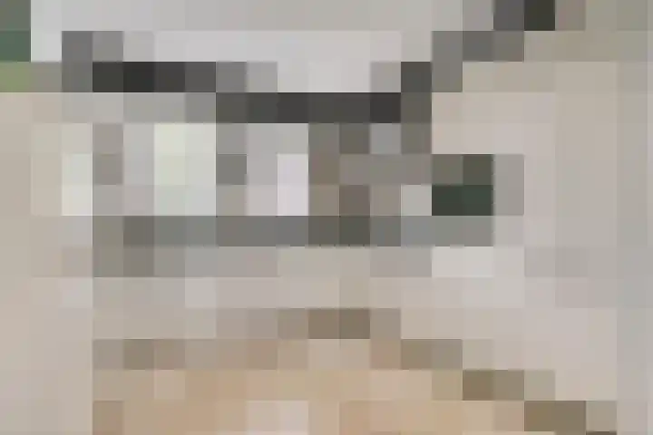 Loostraat 121 Huissen thumbnail 8