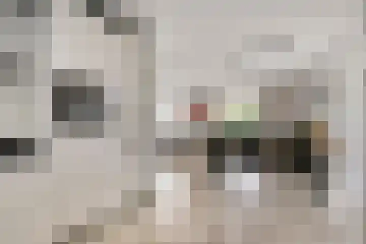 Loostraat 121 Huissen thumbnail 9