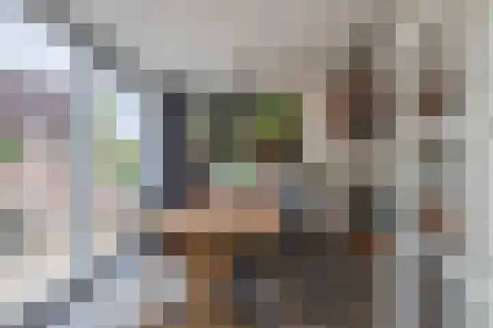 Loostraat 44 a Loo Gld thumbnail 10