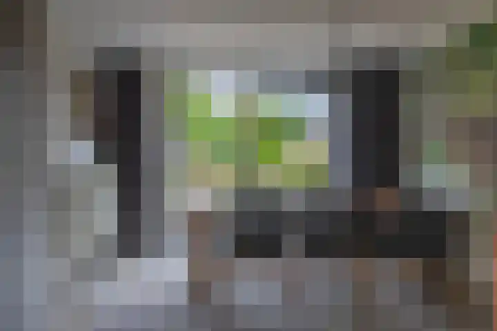 Loostraat 44 a Loo Gld thumbnail 12