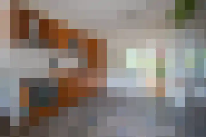 Loostraat 44 a Loo Gld thumbnail 13