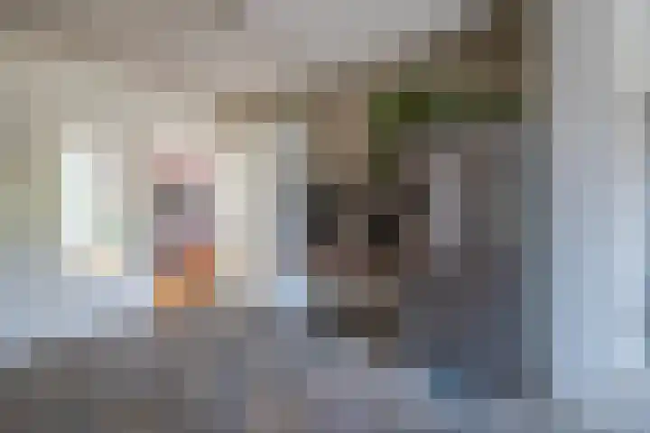Loostraat 44 a Loo Gld thumbnail 14