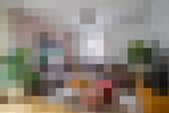 Loostraat 44 a Loo Gld thumbnail 15