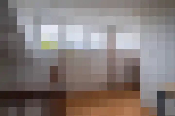 Loostraat 44 a Loo Gld thumbnail 26