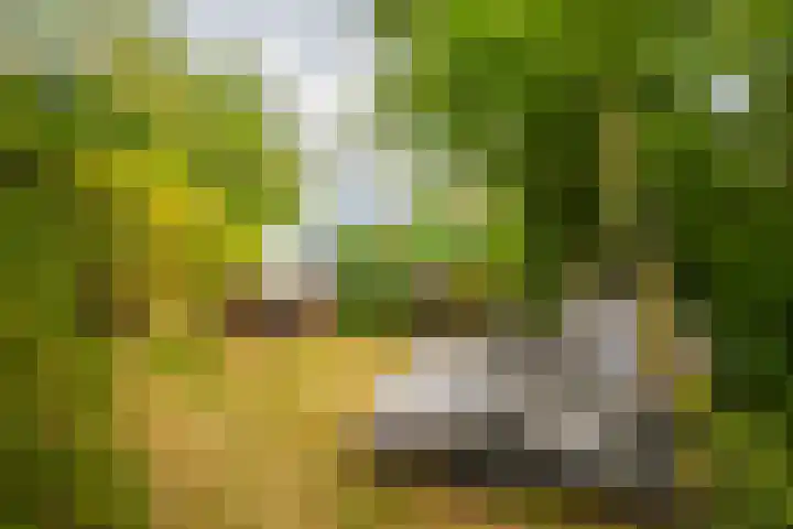 Loostraat 44 a Loo Gld thumbnail 37