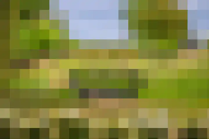 Loostraat 44 a Loo Gld thumbnail 47