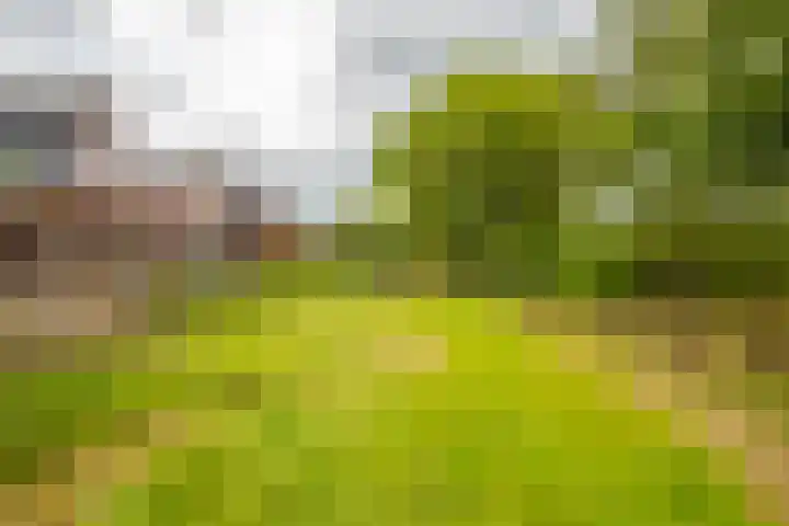 Loostraat 44 a Loo Gld thumbnail 49