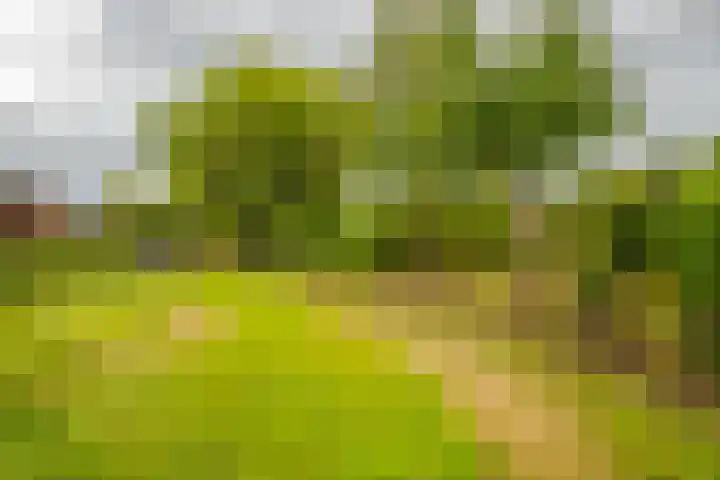Loostraat 44 a Loo Gld thumbnail 50