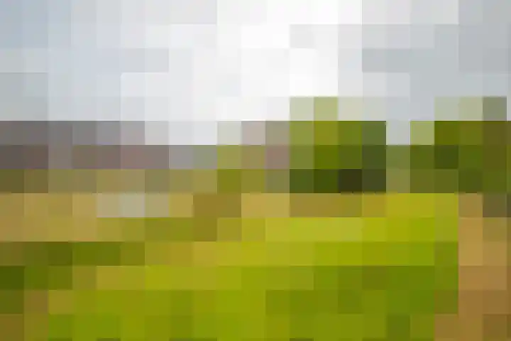 Loostraat 44 a Loo Gld thumbnail 52
