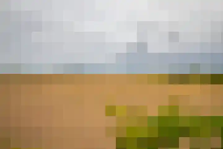 Loostraat 44 a Loo Gld thumbnail 55