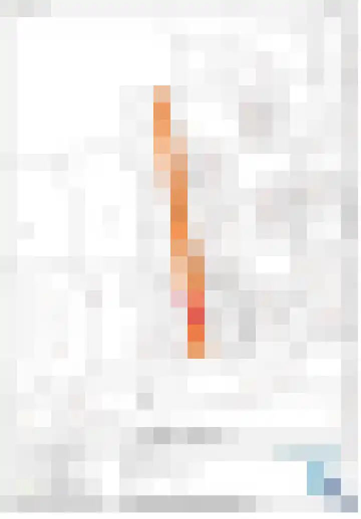 Loostraat 44 a Loo Gld thumbnail 67