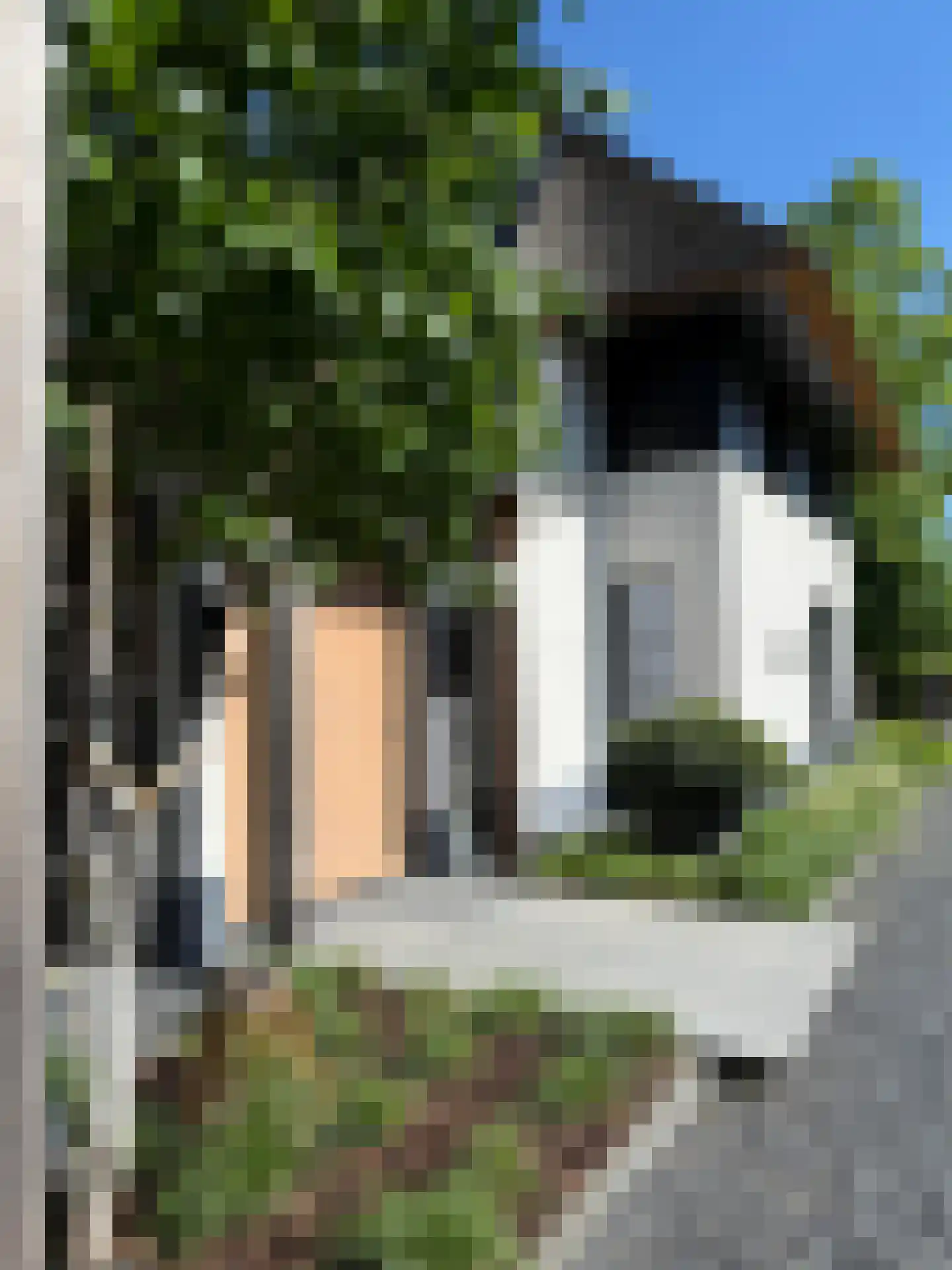Loostraat 52 Loo Gld thumbnail 14