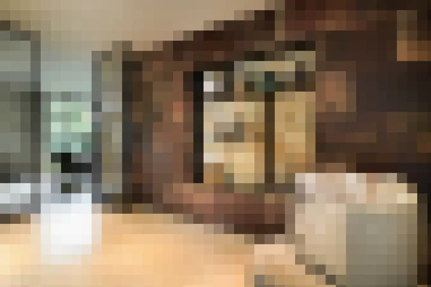 Loostraat 52 Loo Gld thumbnail 16