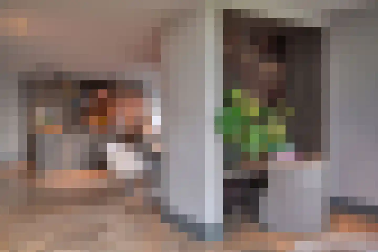 Loostraat 52 Loo Gld thumbnail 18