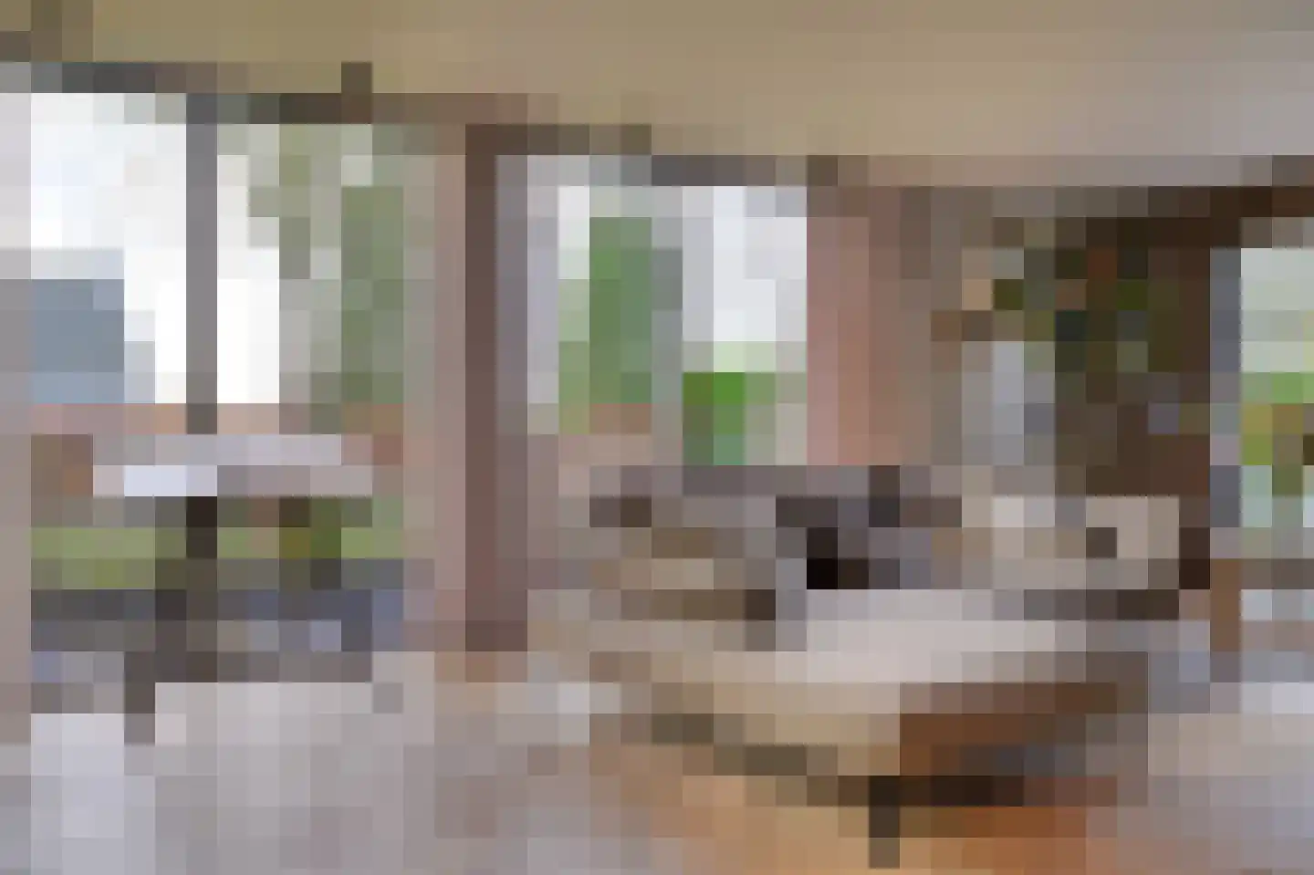 Loostraat 52 Loo Gld thumbnail 21