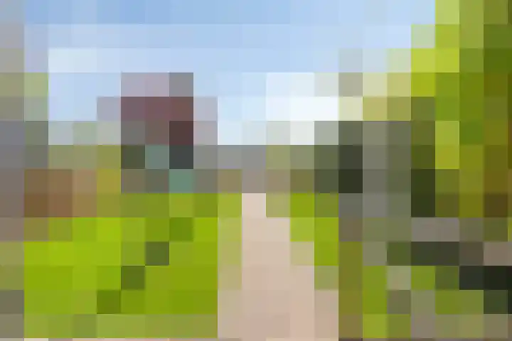 Loostraat 52 Loo Gld thumbnail 23