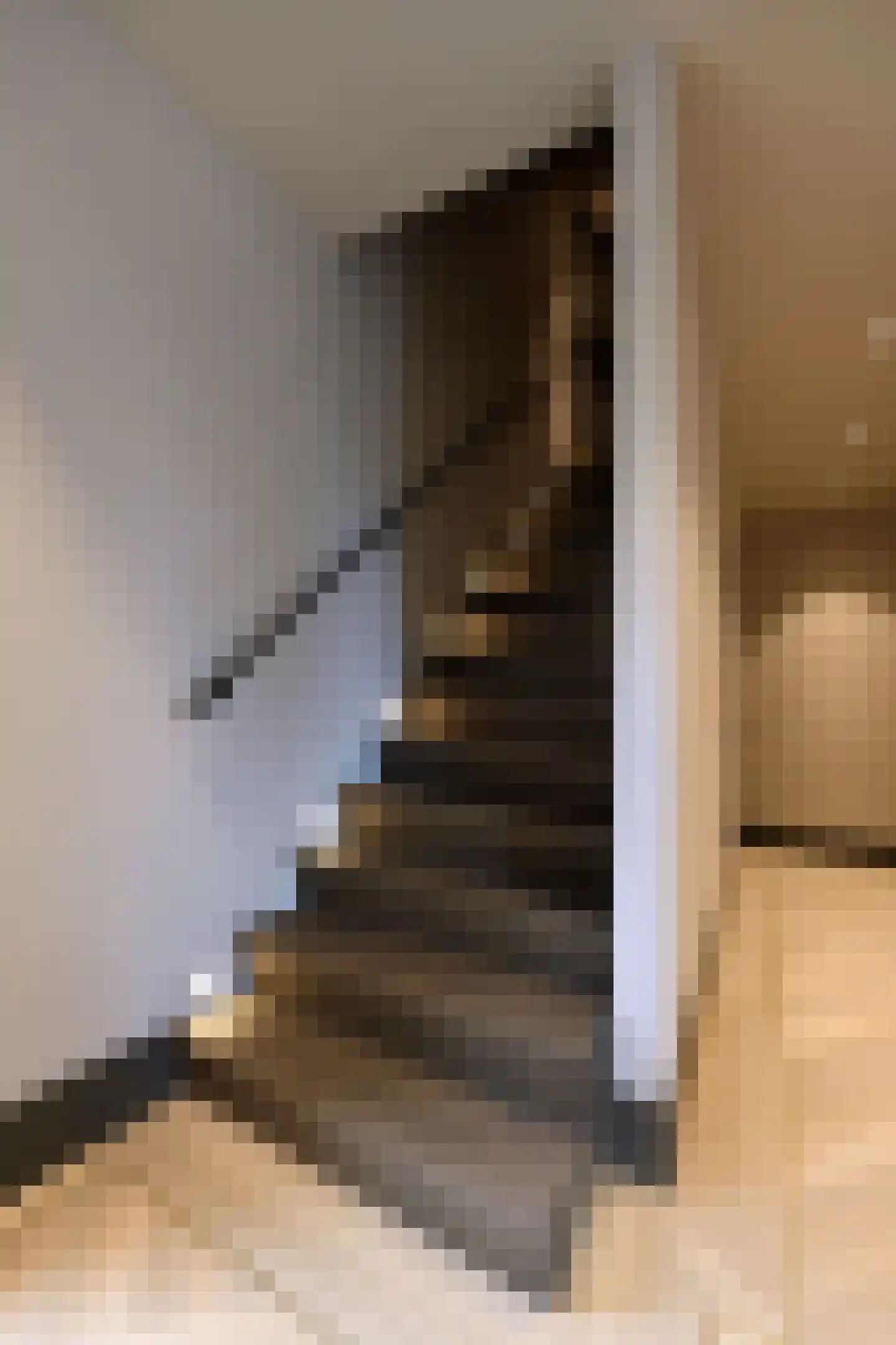 Loostraat 52 Loo Gld thumbnail 23