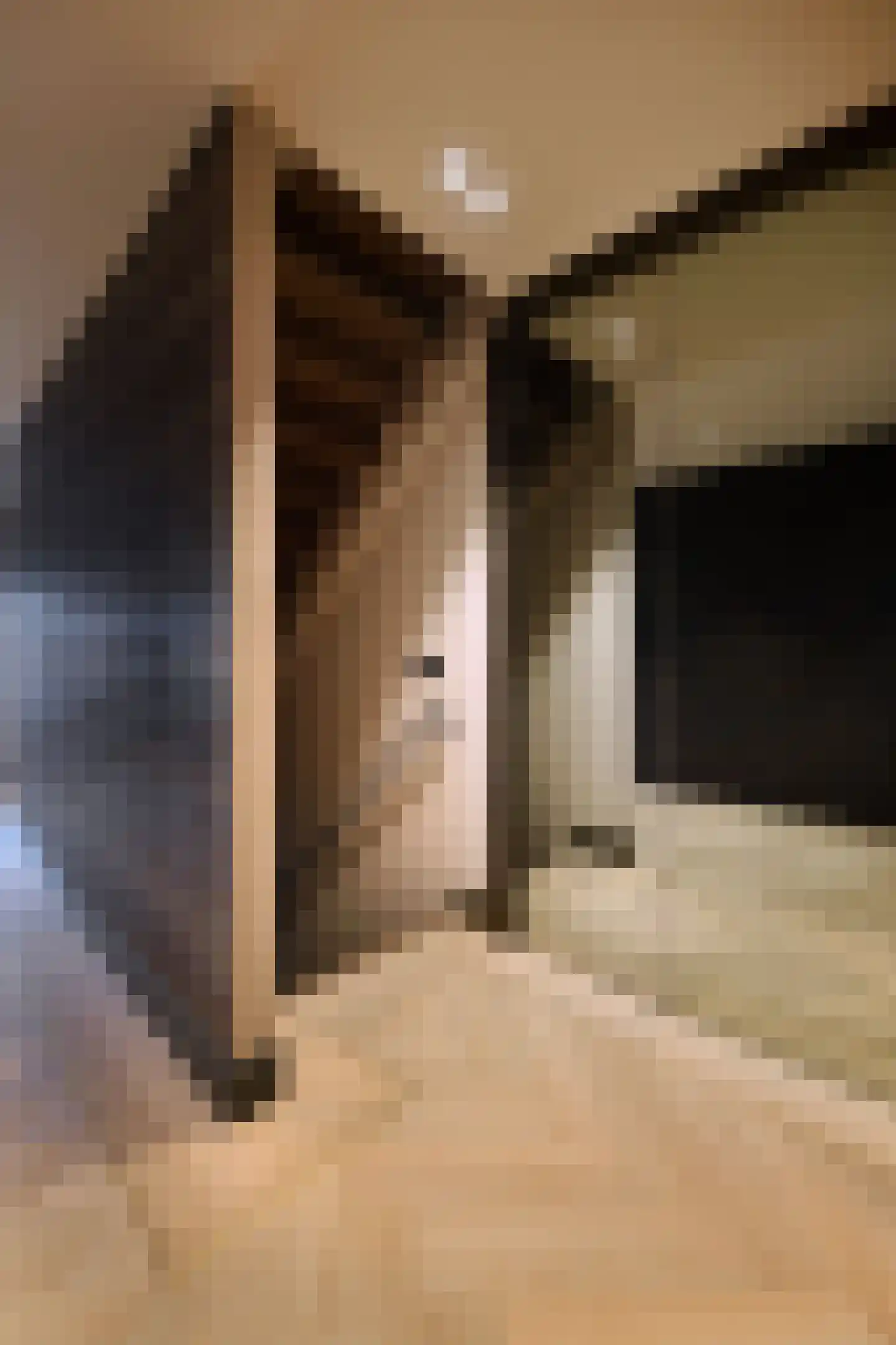Loostraat 52 Loo Gld thumbnail 24