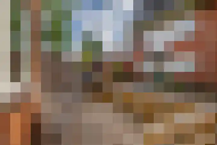 Loostraat 52 Loo Gld thumbnail 29
