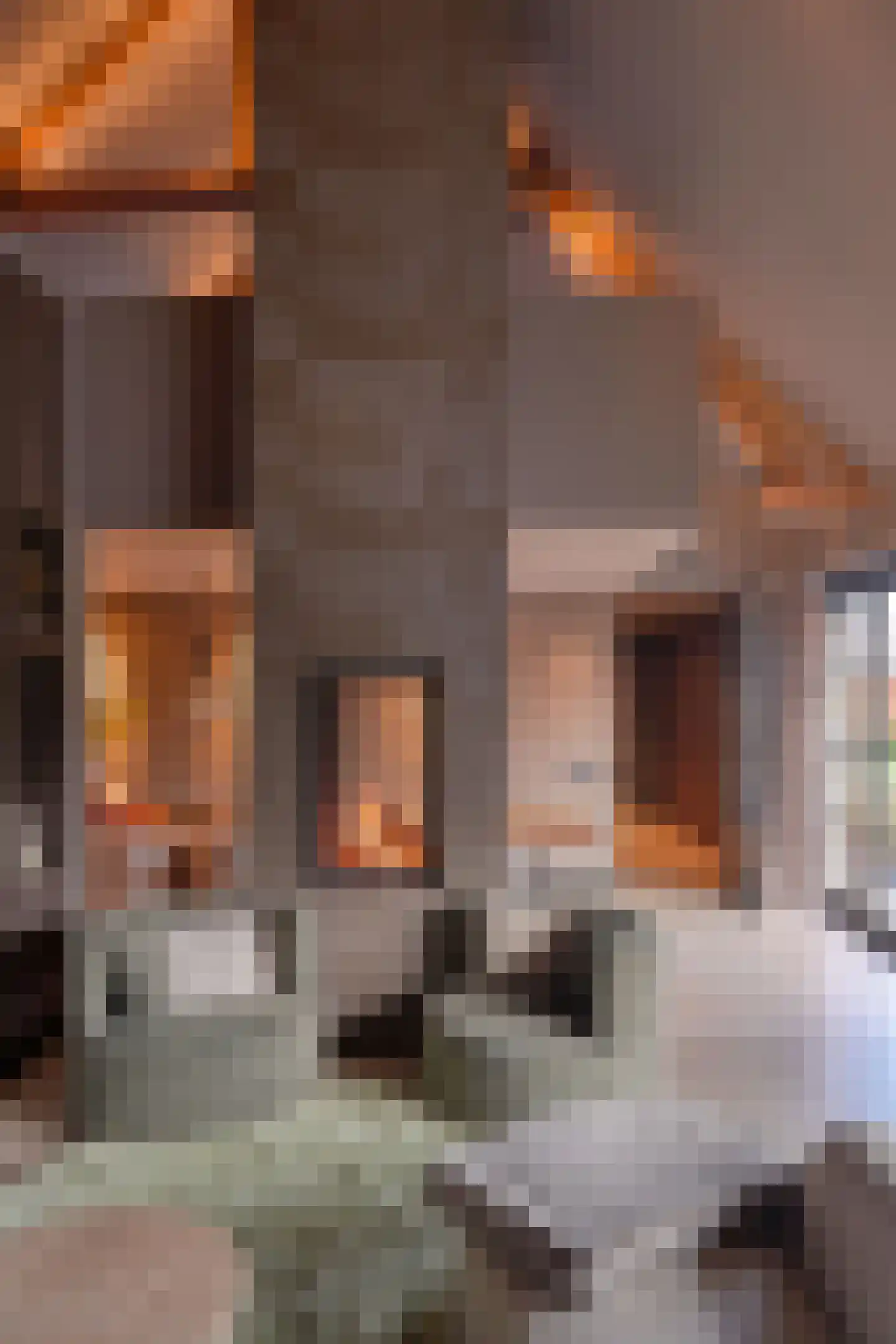 Loostraat 52 Loo Gld thumbnail 31