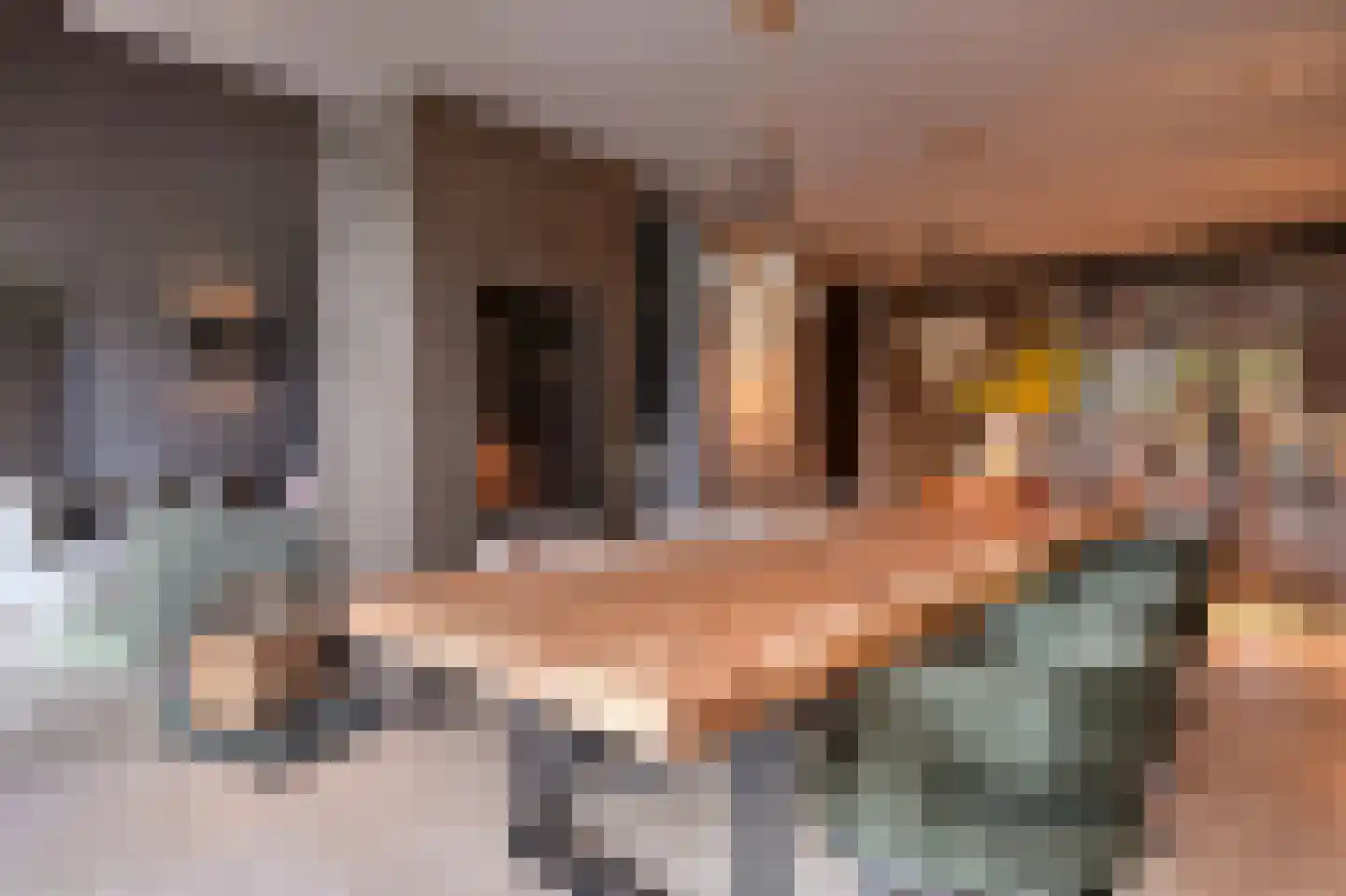 Loostraat 52 Loo Gld thumbnail 32