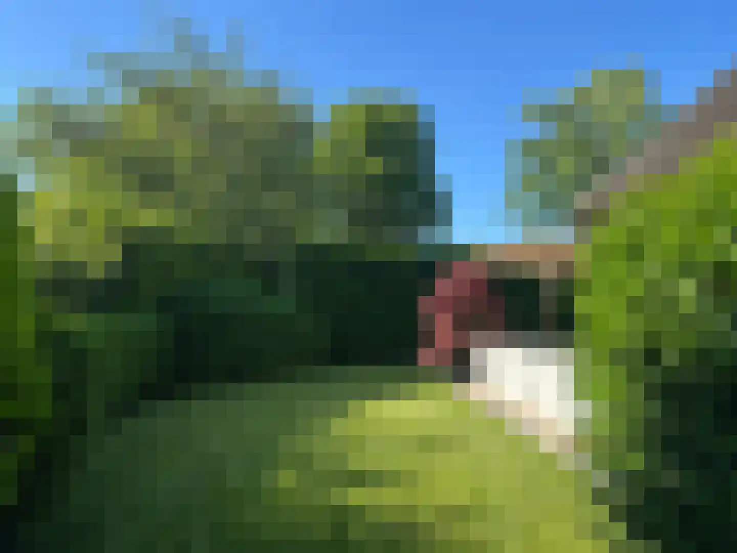 Loostraat 52 Loo Gld thumbnail 6