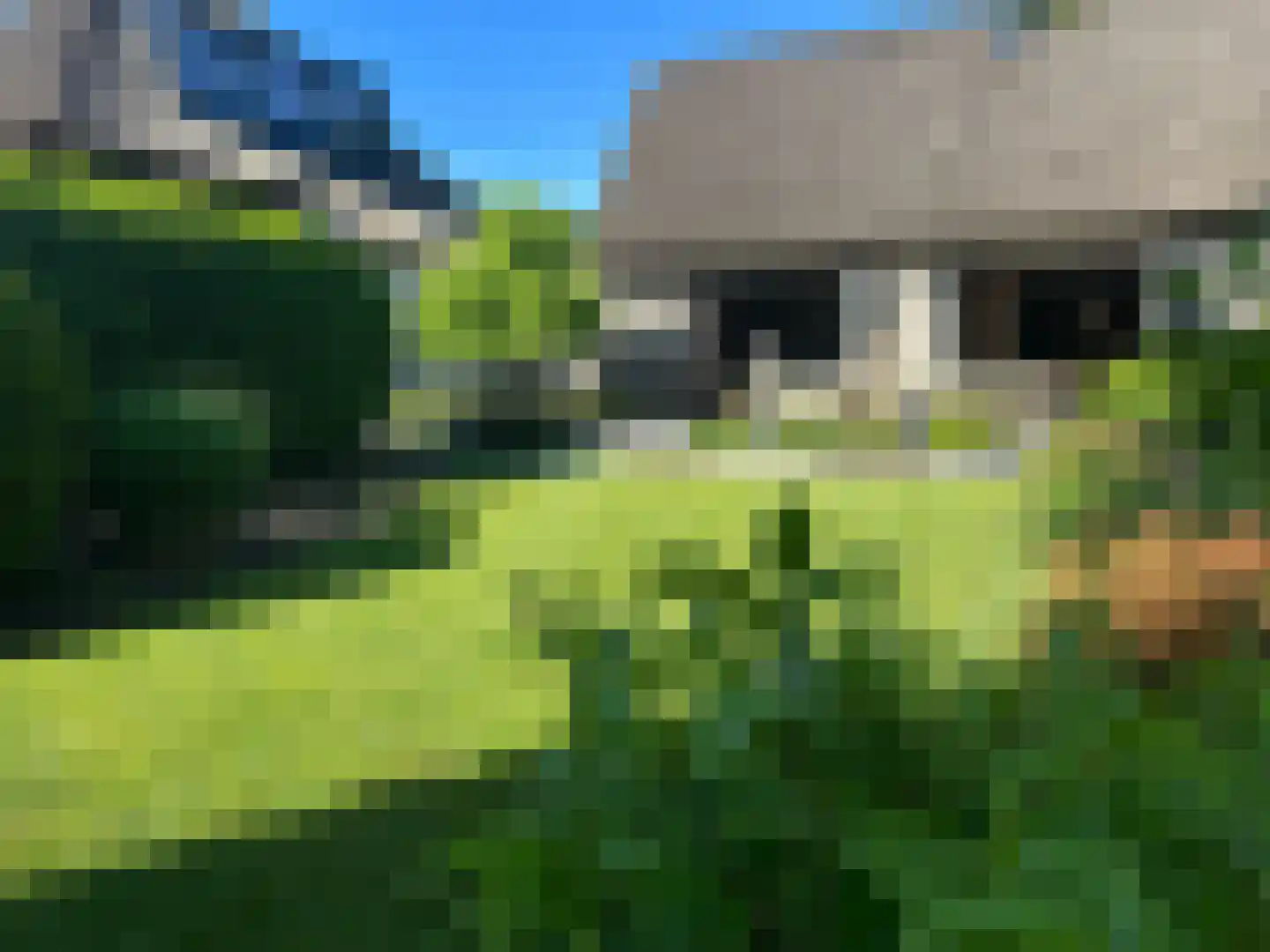 Loostraat 52 Loo Gld thumbnail 8
