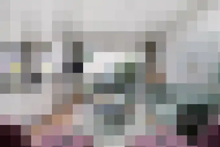 Loostreeplaan 24 Someren thumbnail 10