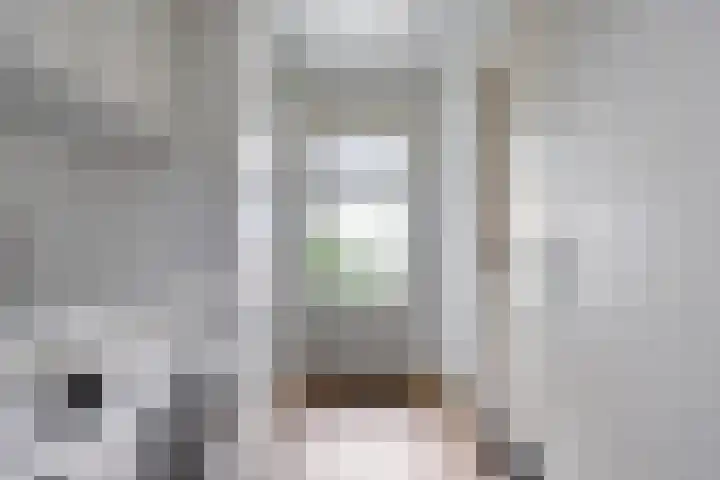 Loostreeplaan 24 Someren thumbnail 15