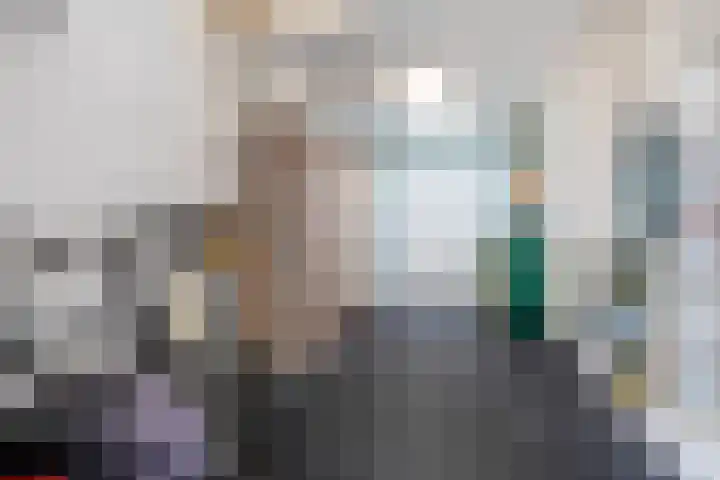 Loostreeplaan 24 Someren thumbnail 17