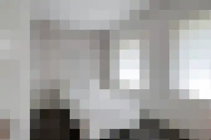 Loostreeplaan 24 Someren thumbnail 19