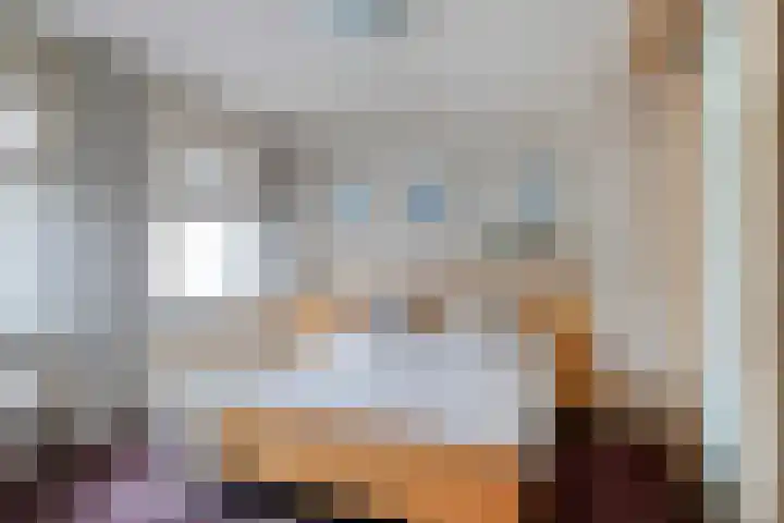 Loostreeplaan 24 Someren thumbnail 22