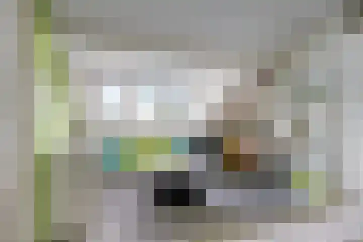 Loostreeplaan 24 Someren thumbnail 27