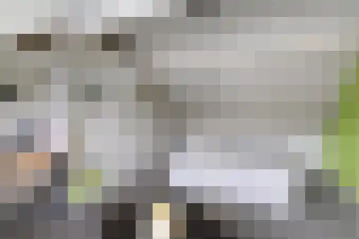 Loostreeplaan 24 Someren thumbnail 28