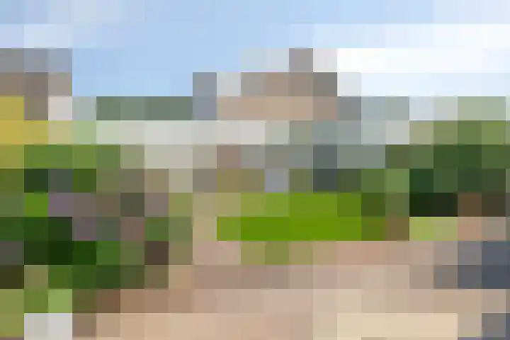 Loostreeplaan 24 Someren thumbnail 29