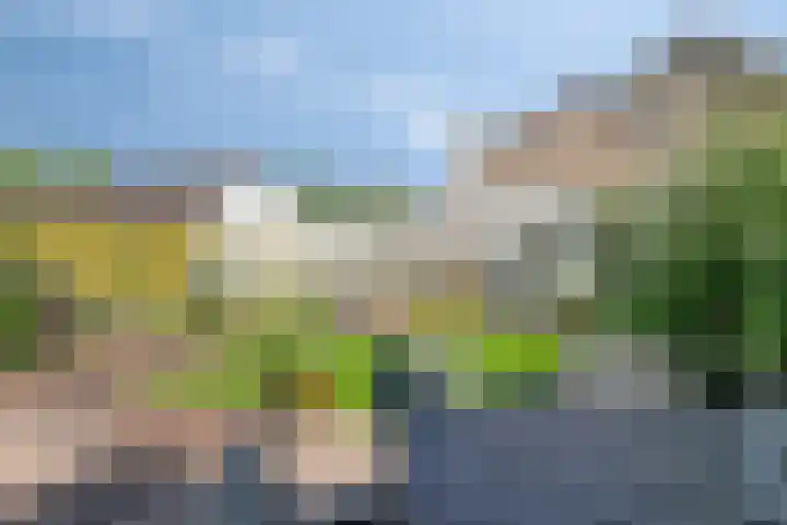 Loostreeplaan 24 Someren thumbnail 30