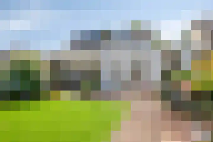 Loostreeplaan 24 Someren thumbnail 32