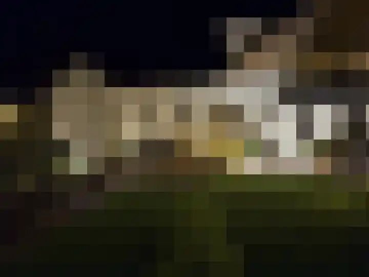Loostreeplaan 24 Someren thumbnail 34