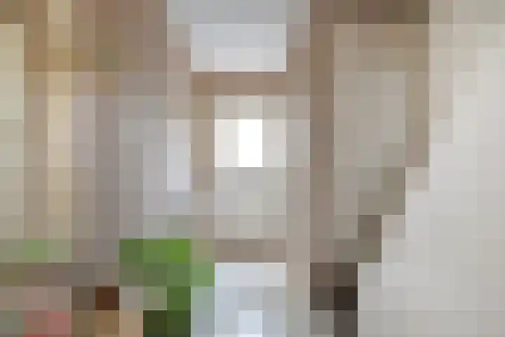 Loostreeplaan 24 Someren thumbnail 4