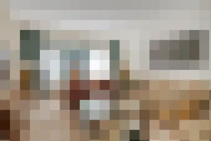 Loostreeplaan 24 Someren thumbnail 5