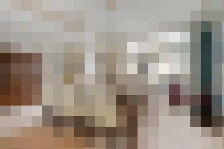 Loostreeplaan 24 Someren thumbnail 7