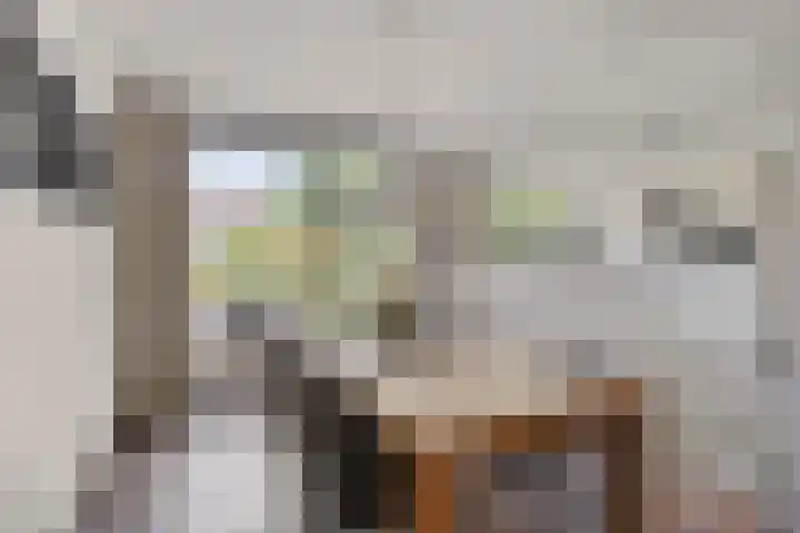 Loostreeplaan 42 Someren thumbnail 12