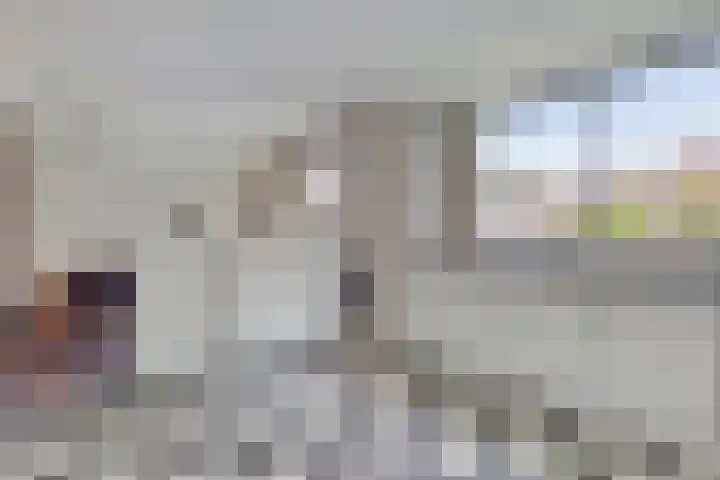 Loostreeplaan 42 Someren thumbnail 14