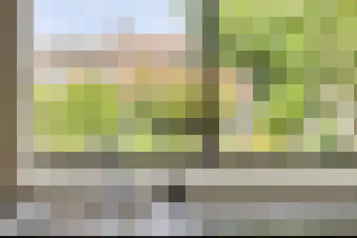 Loostreeplaan 42 Someren thumbnail 16