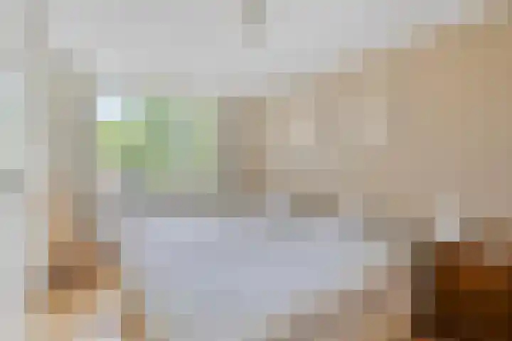 Loostreeplaan 42 Someren thumbnail 20