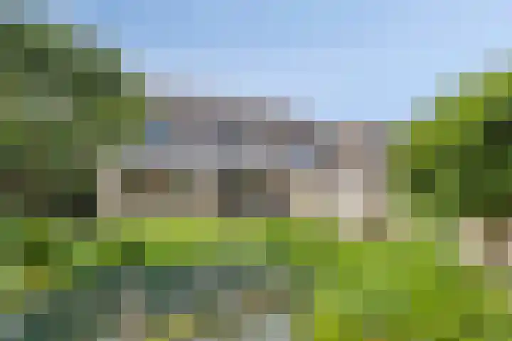 Loostreeplaan 42 Someren thumbnail 33