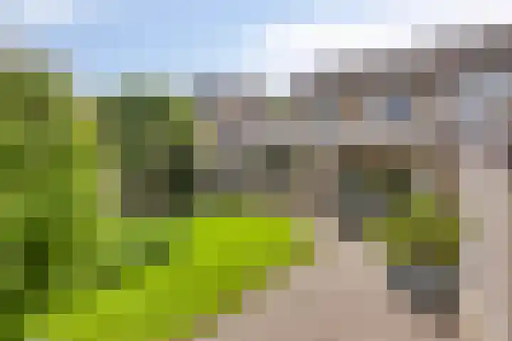 Loostreeplaan 42 Someren thumbnail 34